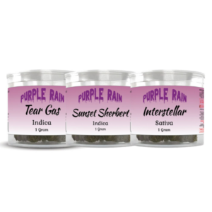 Purple Rain 1g Flower Jar